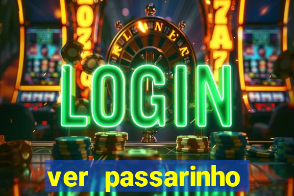 ver passarinho morto significado